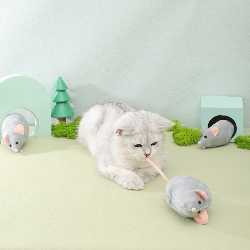 Cat Chewing Toy with Catnip