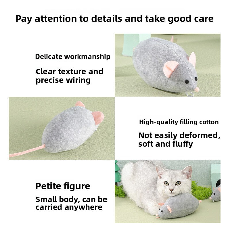 Cat Chewing Toy with Catnip